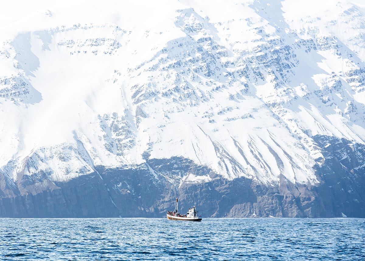 The Icelandic shoreline is a beautiful sight